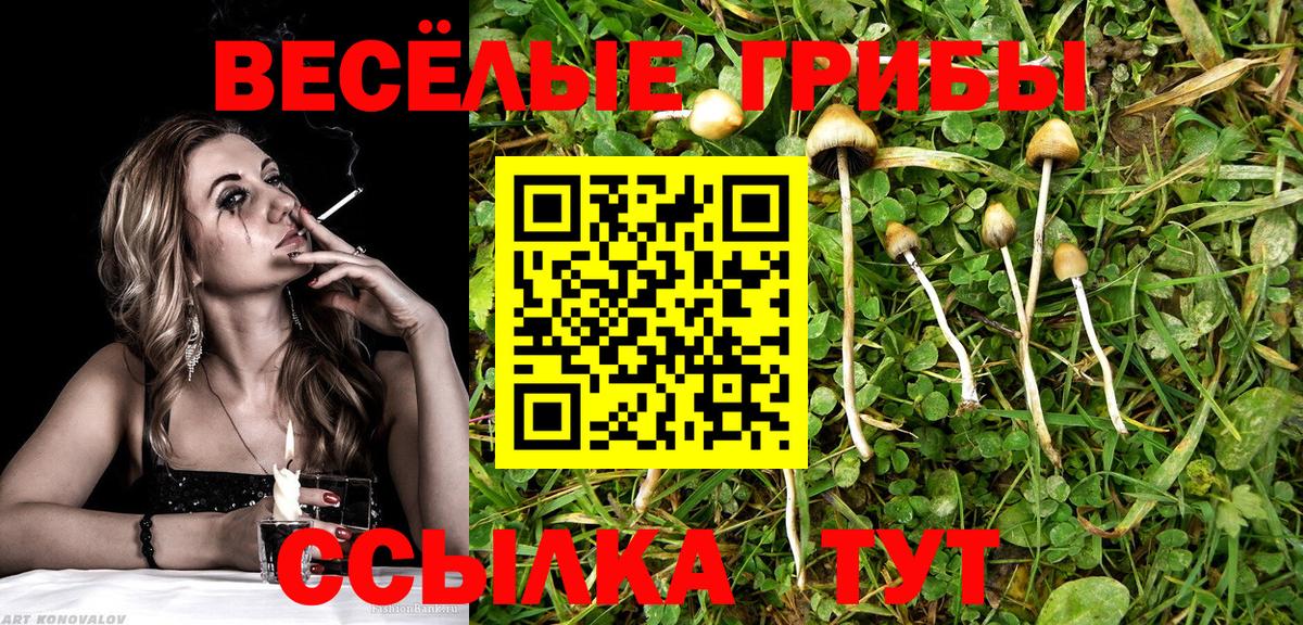 Галлюциногенные грибы Cubensis Саров